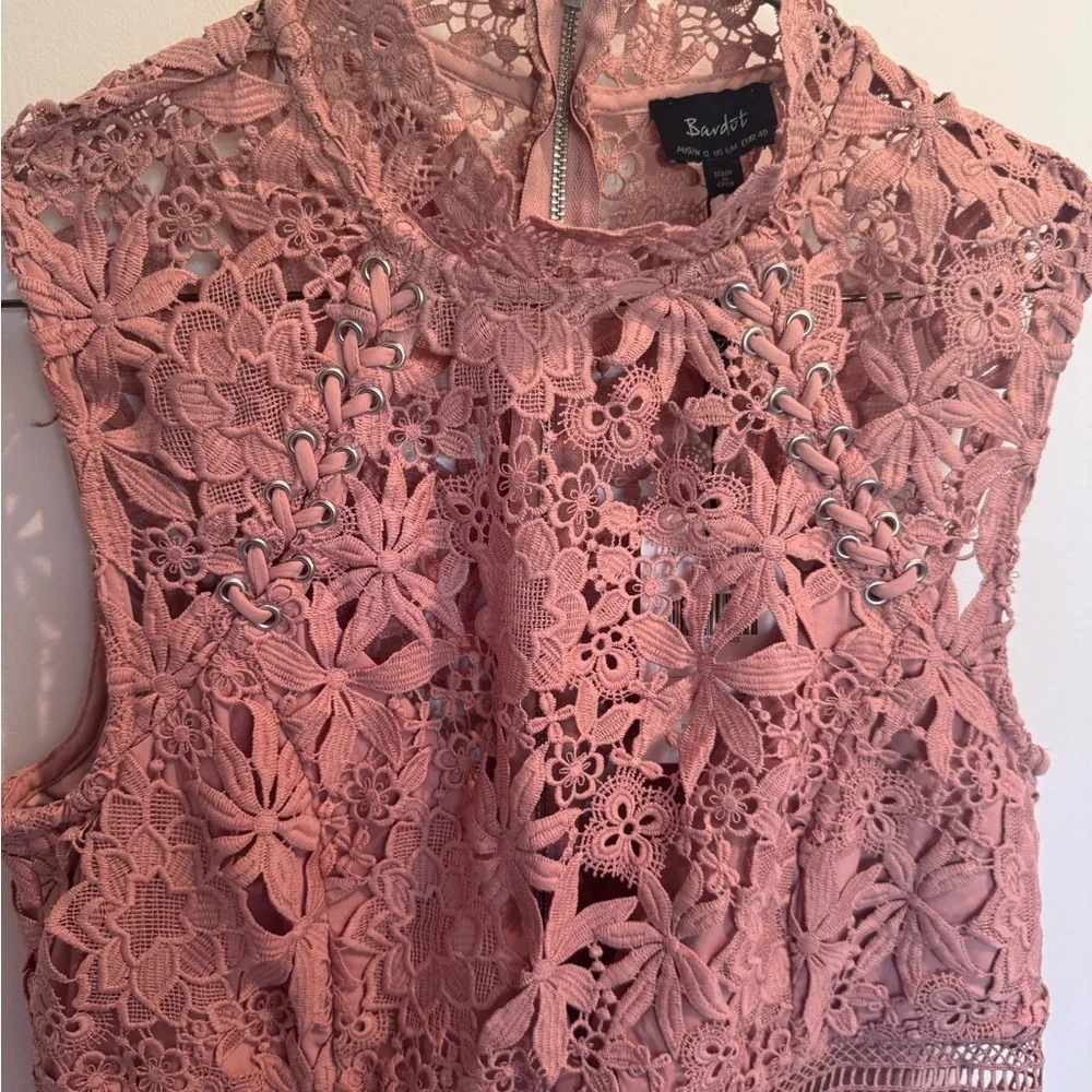 NWT Bardot Lace Mini Dress in Mauve